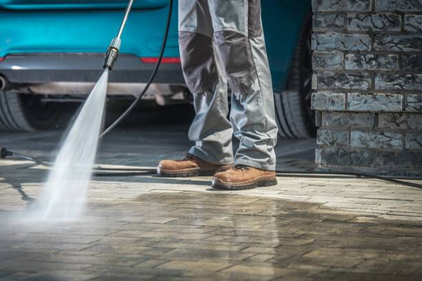Best Sign and Awning Cleaning  in Mount Carmel, TN