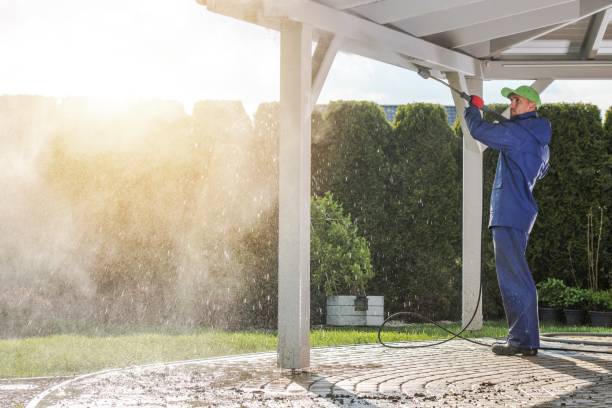 Best Graffiti Removal  in Mount Carmel, TN