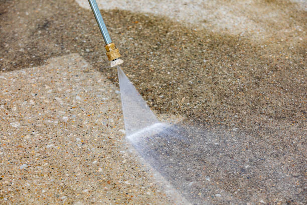 Best Driveway Pressure Washing  in Mount Carmel, TN