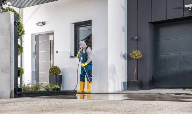 Best Solar Panel Cleaning  in Mount Carmel, TN